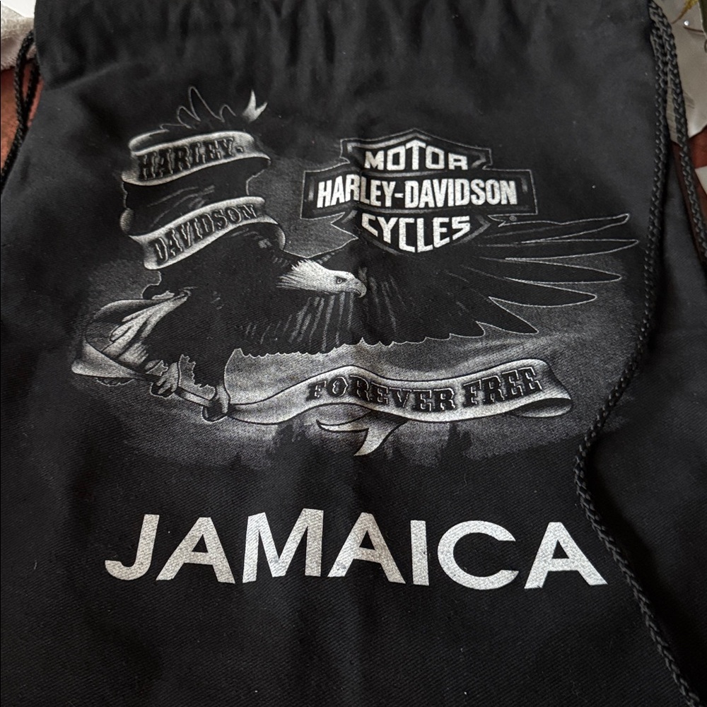 Harley-Davidson Black and Gold Drawstring Backpack - Picture 3 of 4